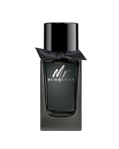 Burberry Mr Burberry 100ml Eau de Parfum Spray