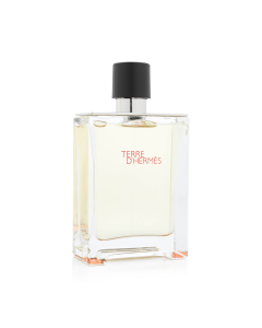 Hermes Terre d'Hermès 100ml Eau de Toilette Spray
