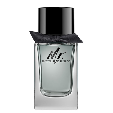 Burberry Mr. Burberry 100ml Eau de Toilette Spray