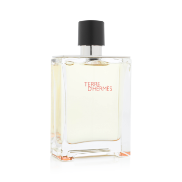 Hermes Terre d'Hermès 100ml Eau de Toilette Spray